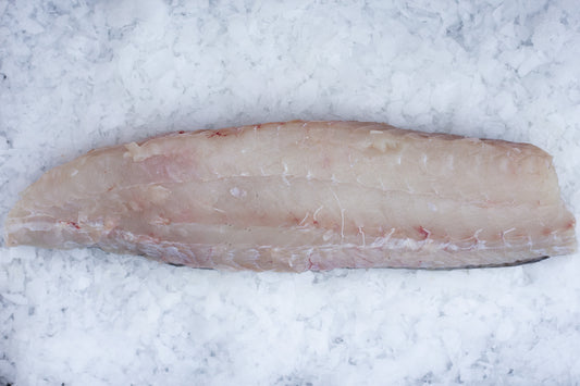 Saithe (Pollachius virens) Loin with Scaled Skin