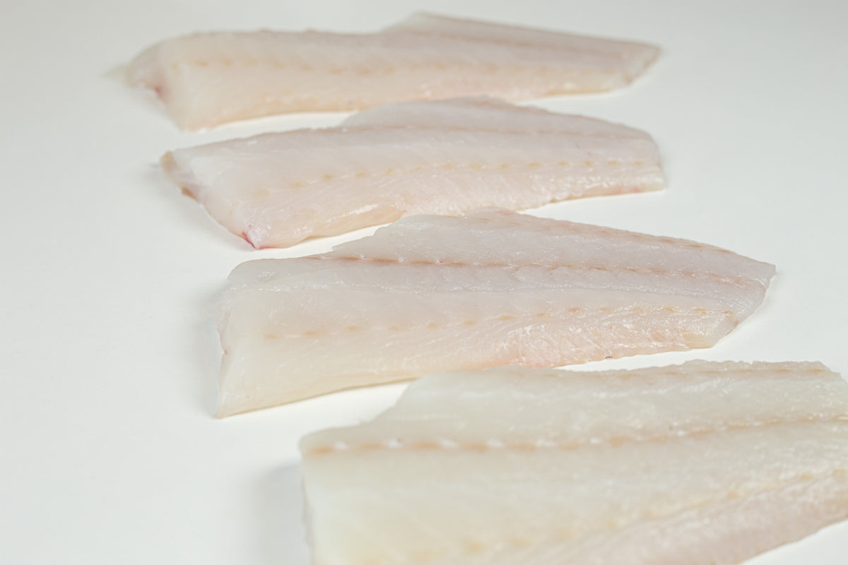 Atlantic Cod (Gadus morhua) Fillet Portion Skinless