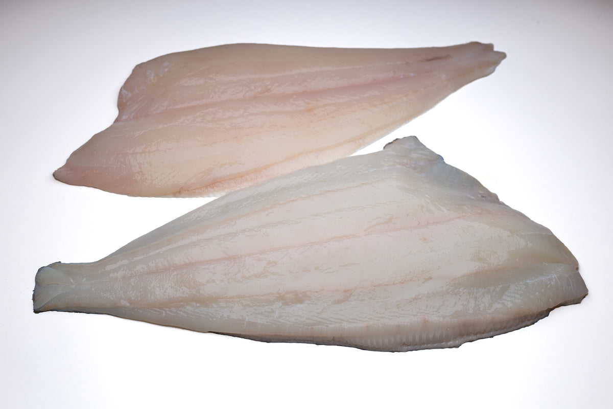 Filets de Flétan Blanc Sauvage Frais d'Islande