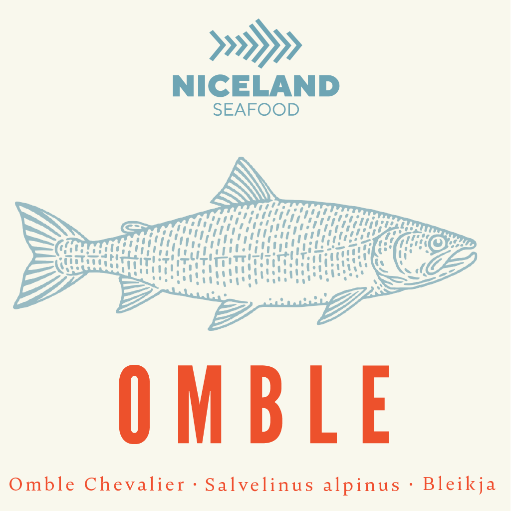 Arctic Char