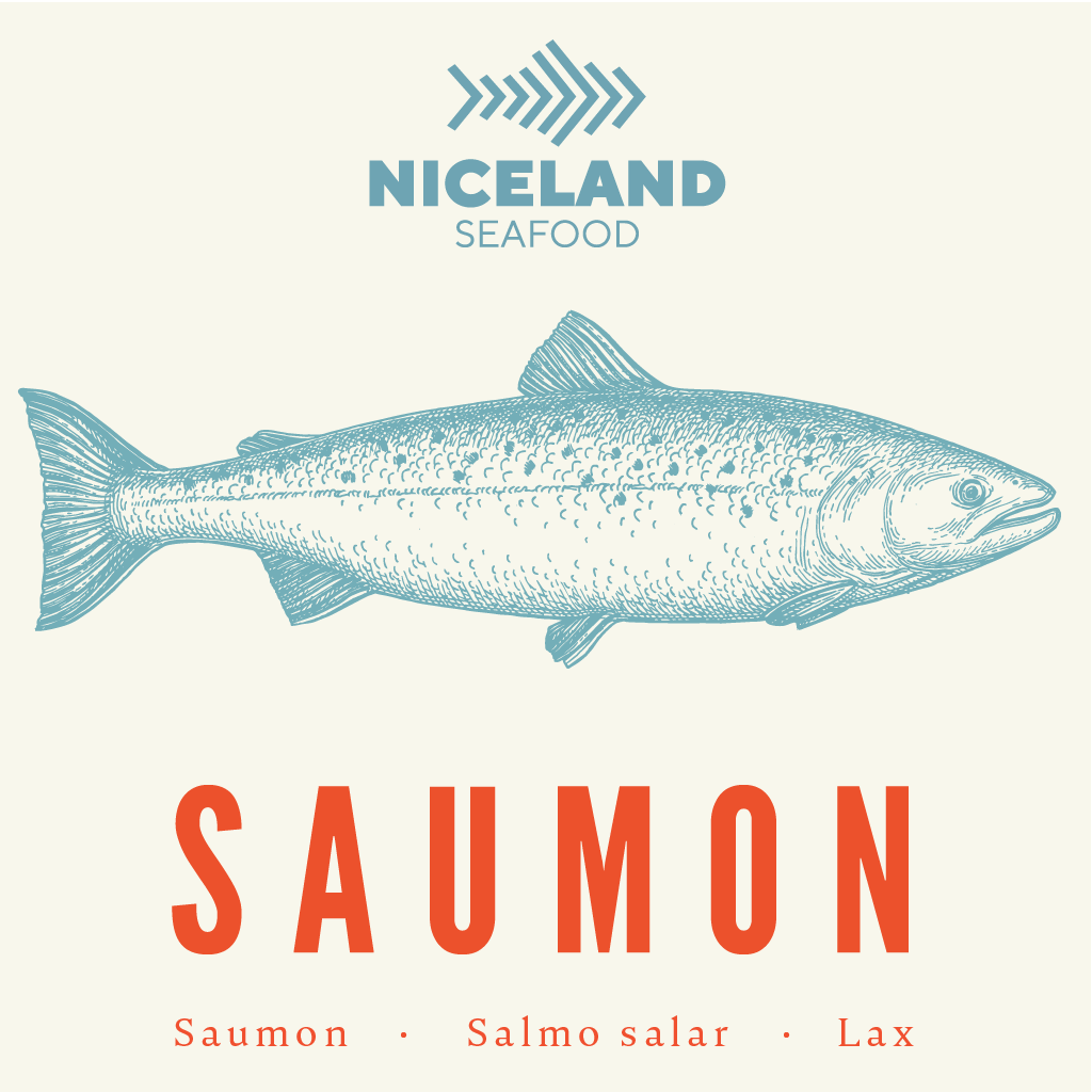 Salmon