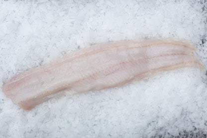 Filet de loup (Anarhichas lupus)
