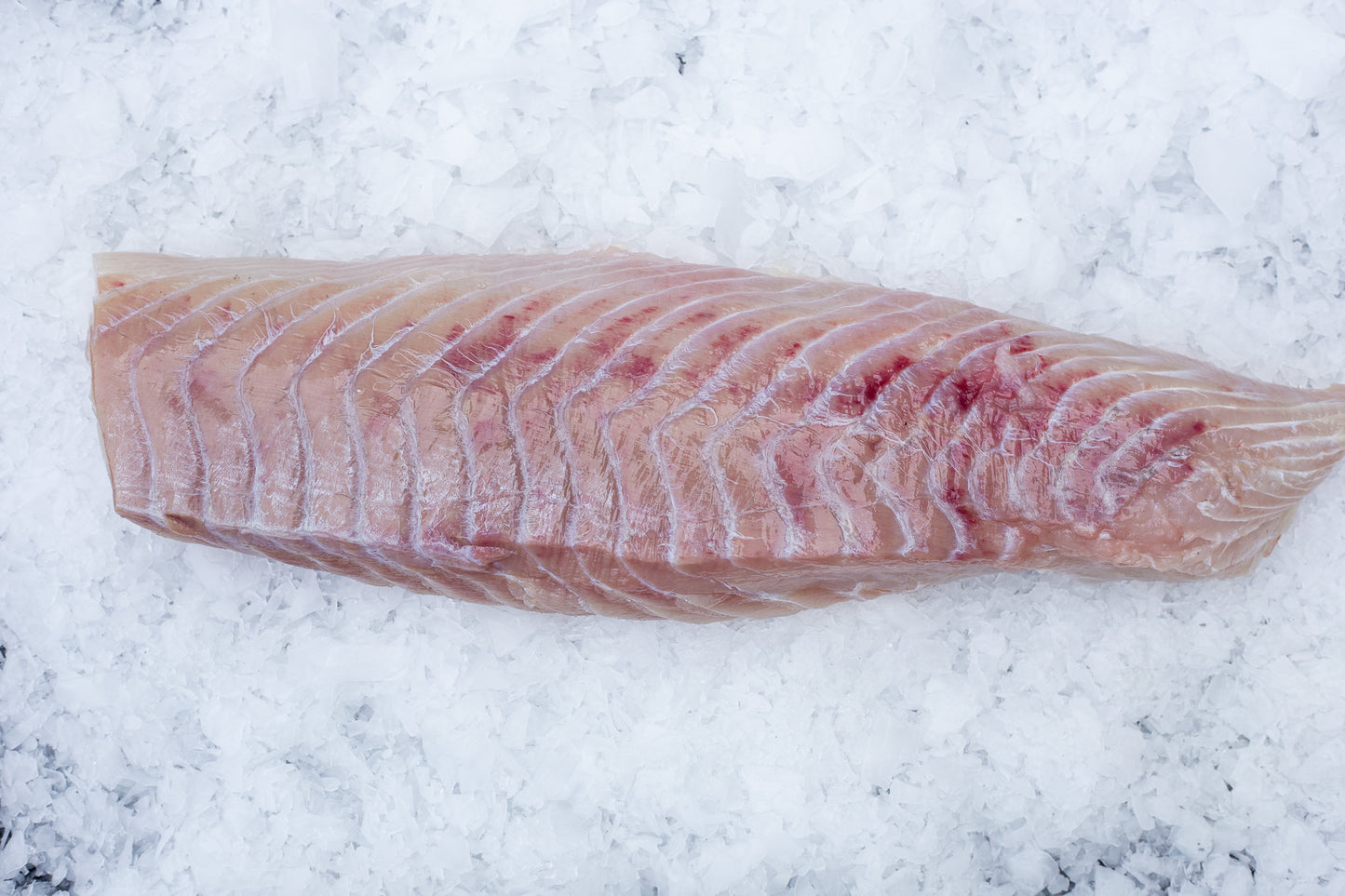 Saithe (Pollachius virens) Skinless Loin