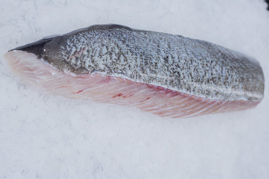 Saithe (Pollachius virens) Loin with Scaled Skin
