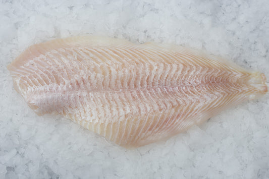 Plaice (Pleuronectes platessa) Fillet Skinless