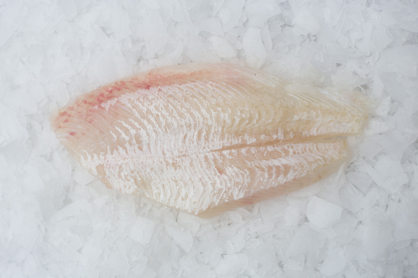 Plie (Pleuronectes platessa) Filet Sans peau