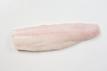 Atlantic Wolffish