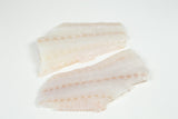 Atlantic Cod (Gadus morhua) Fillet Portion Skinless