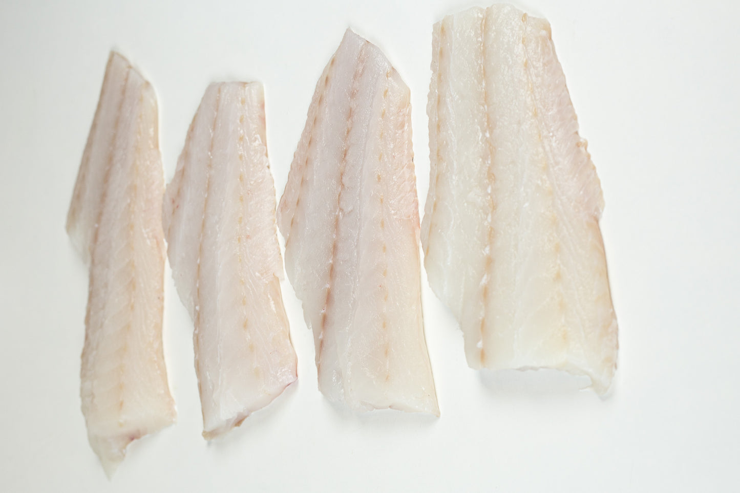 Atlantic Cod (Gadus morhua) Fillet Portion Skinless