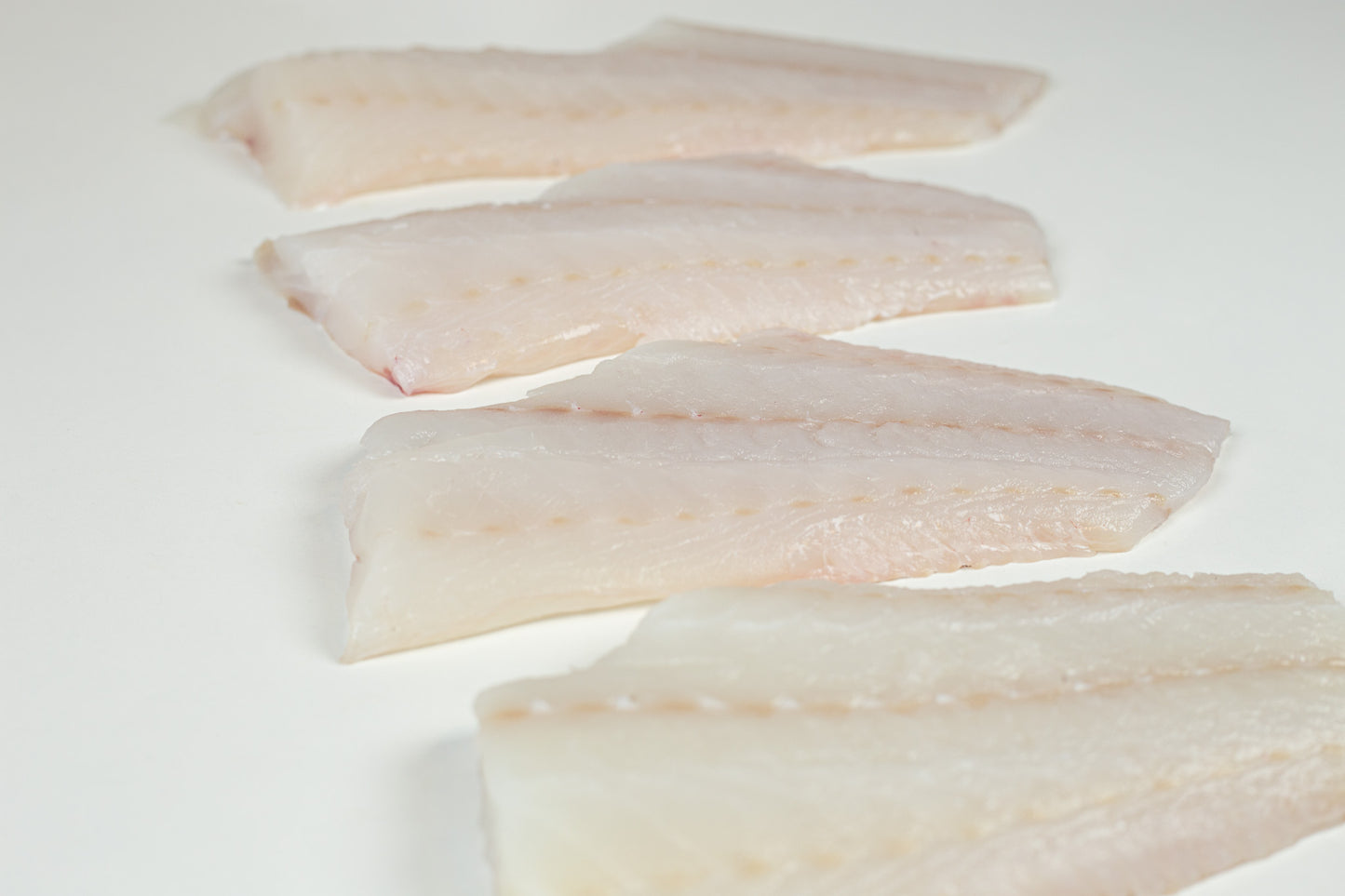 Atlantic Cod (Gadus morhua) Fillet Portion Skinless