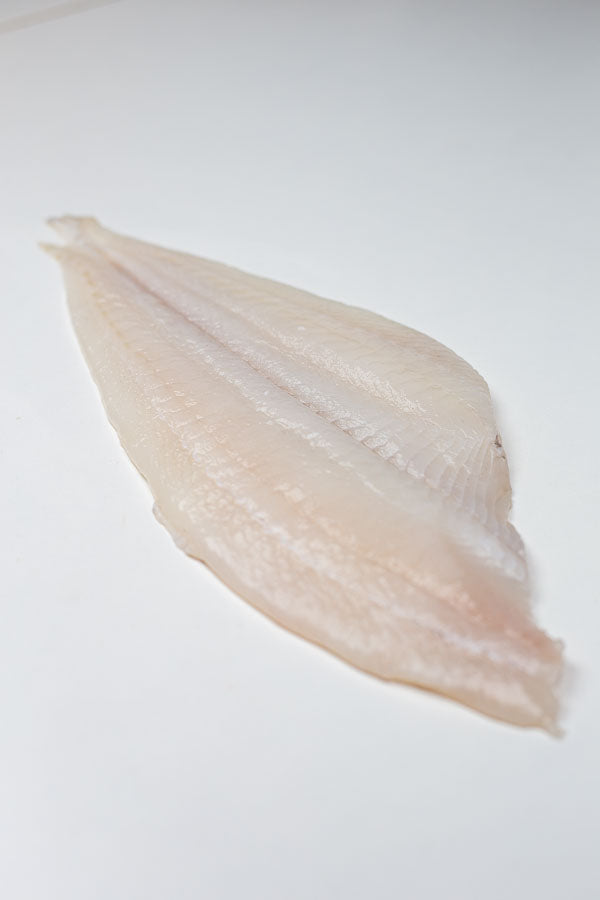 Plie (Pleuronectes platessa) Filet Sans peau