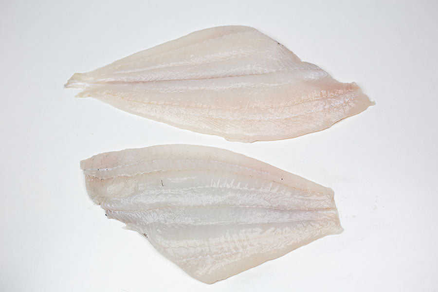 Plie (Pleuronectes platessa) Filet Sans peau