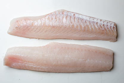 Zeetong Lende Zonder vel