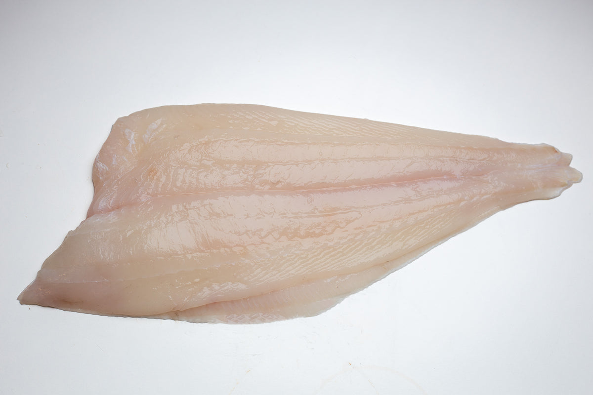 Filet de flétan blanc frais sauvage d'Islande - Niceland Seafood