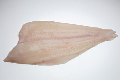 Filet de flétan blanc frais sauvage d'Islande - Niceland Seafood