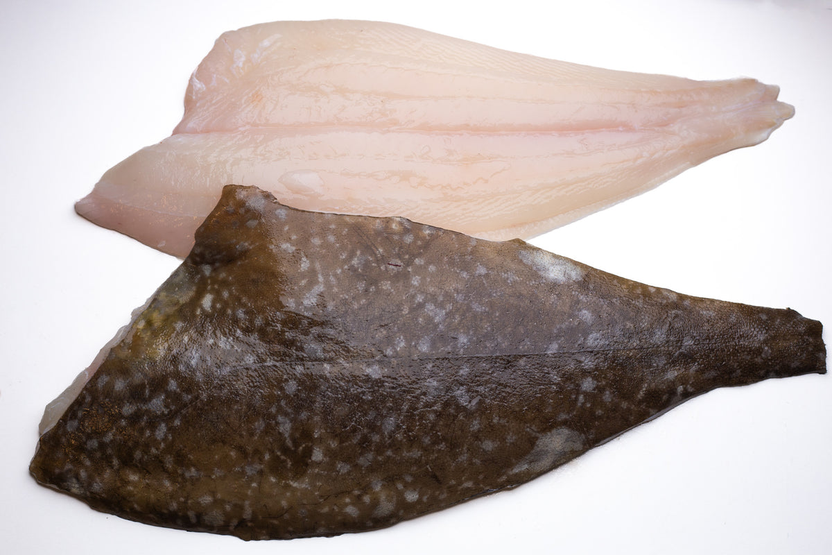 Filet de flétan blanc frais sauvage d'Islande - Niceland Seafood