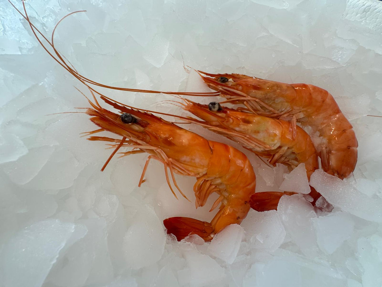 Shrimp (Penaeus monodon) Label Rouge 40-60