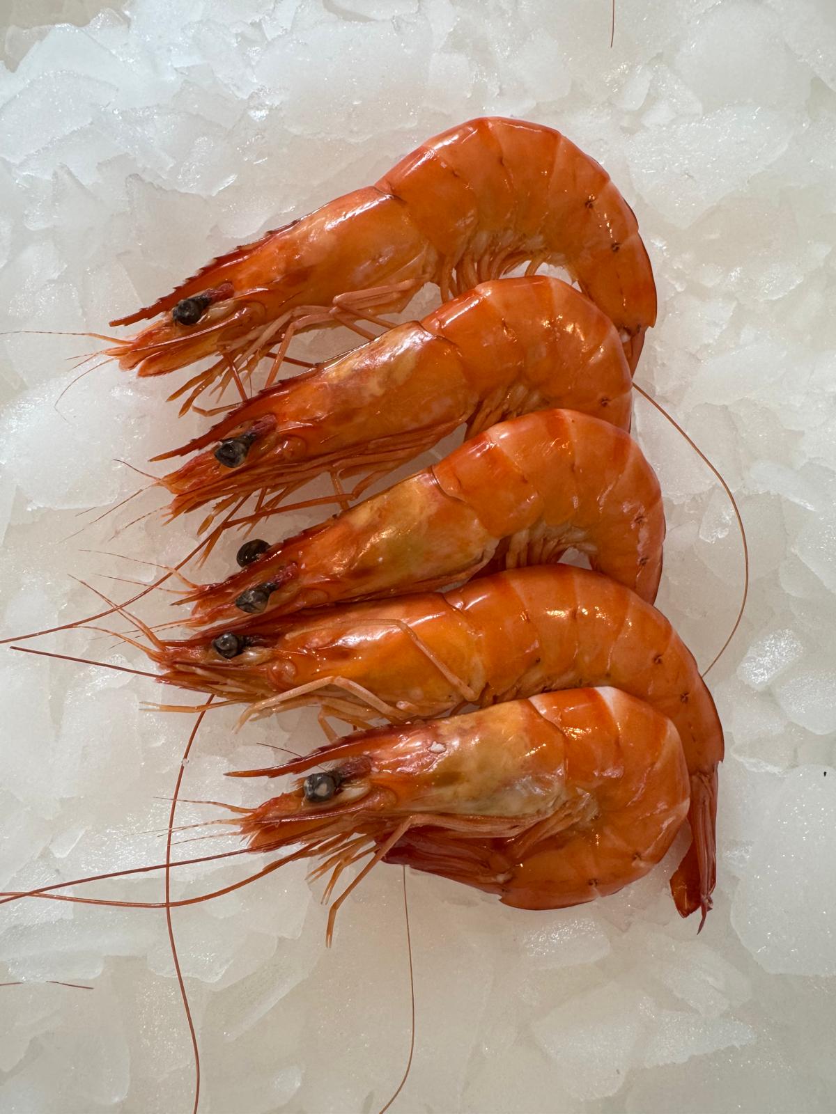 Shrimp (Penaeus monodon) Label Rouge 40-60