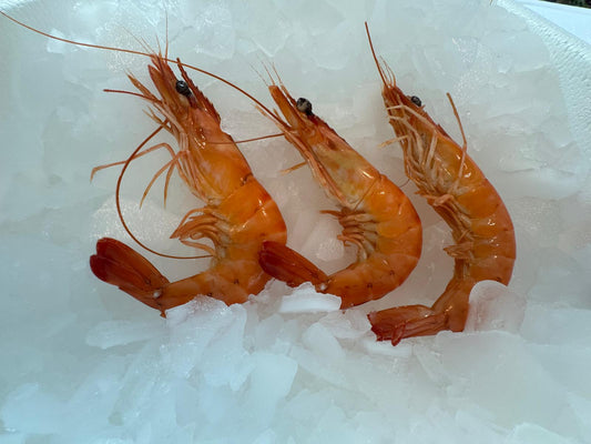 Shrimp (Penaeus monodon) Label Rouge 40-60